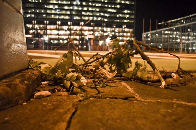 Hurricane Irene Damage